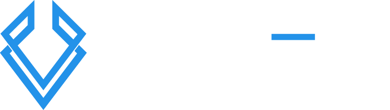 Viden Corporate Logo White